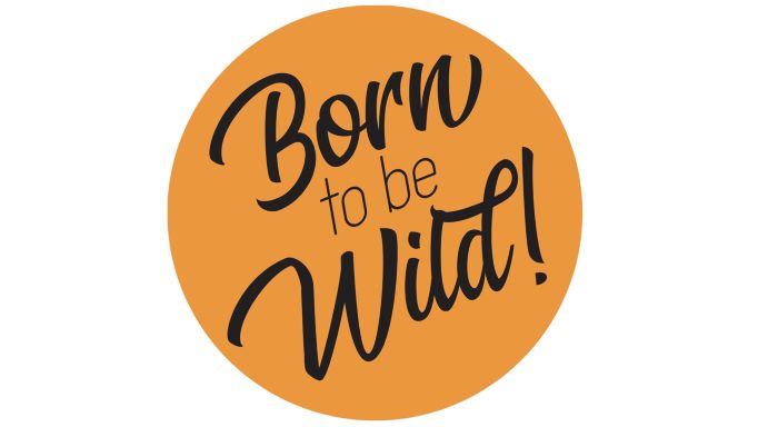 Born_to_be_Wild2 (002) Born to be wild